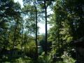 DSCF0054