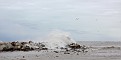 IMG 3700-10x20-2012
