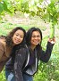 IMG 4812