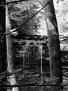 DSCN0474bw