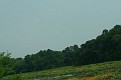 My Visit With Aunt Mary Eure (39)