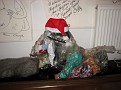 IMG 3164