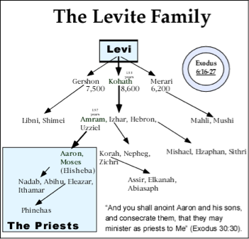 Moses Family Tree Chart