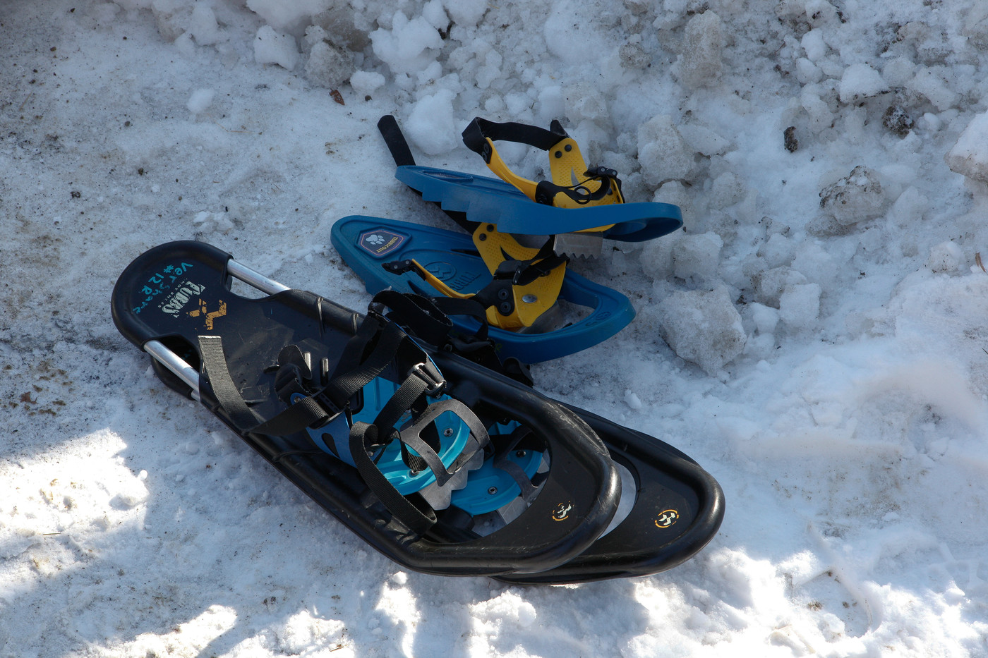 Snowshoe-A-Thon-48
