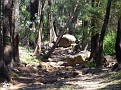 Dry creek bed 001