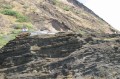 IMG 0865