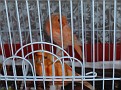 3-7-2009 4-29-22 μμ