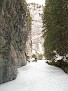 IMG 9281