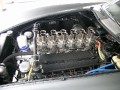 DSCN5119