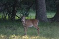 LakeTexana 054
