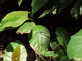 P6300106