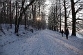 snow in Tervuren Park