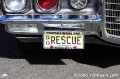 IMG 8650