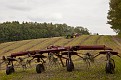 1Last Hay.jpg