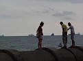 P8091293