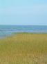 DSCF0016