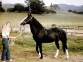 Midnight Babe and Carol 1971
