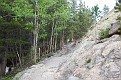 DSC 5678