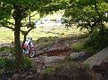 DSC08478.JPG