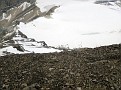 Mt Willingdon 027