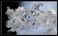 DSC 0004al