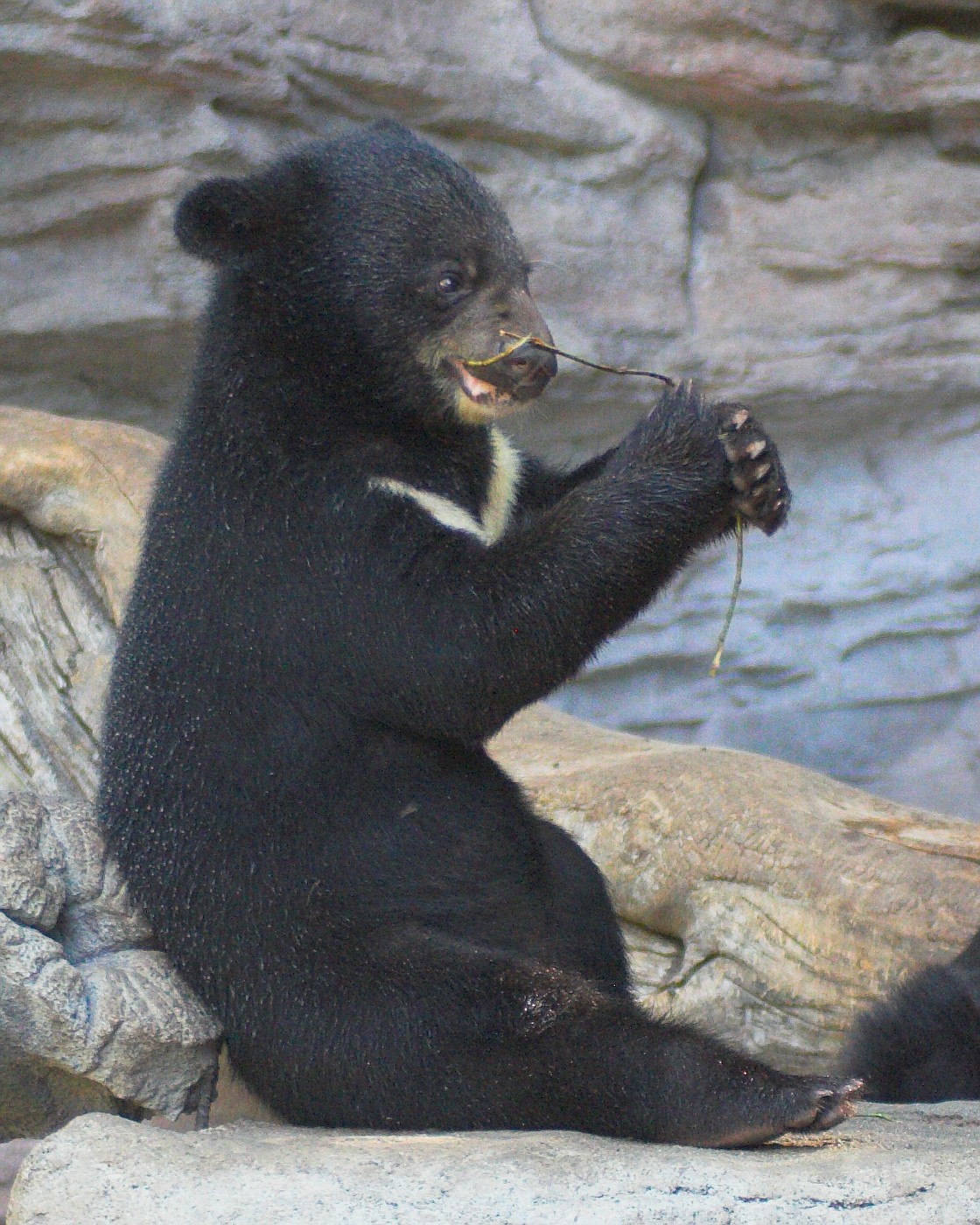 IMAGE: http://images15.fotki.com/v337/photos/6/64353/866558/_MG_337201-vi.jpg