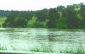 Bell River after flash flood 012