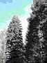 DSCF0163-vi.jpg