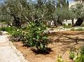 IMG 0196