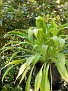 08 05 17_0645_edited-1.jpg