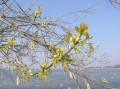060506 076.jpg