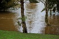 Macquarie River 040312 0135 pm 002