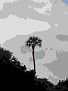 DSCF0017