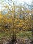 DSCF0057