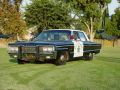 1966 Dodge Polara- C H P