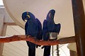 DSC 0006