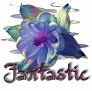 1Fantastic-pretty09-3