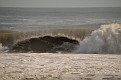 DSC_7565.JPG