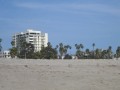 IMG 1329