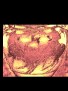 Krater14