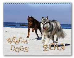 Beach Dogs 2013 Calendar zazzle_calendar