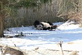 070216 Natl Zoo001