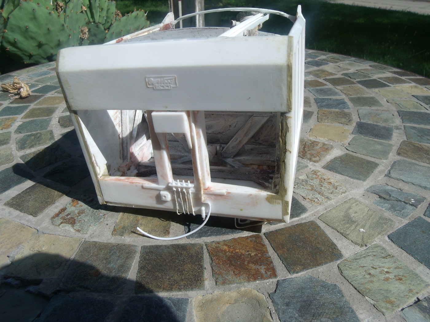 GEDC6507-vi.jpg