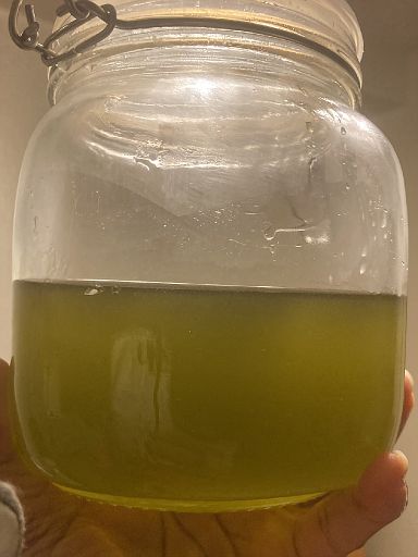 Green and Clear: I Love It!