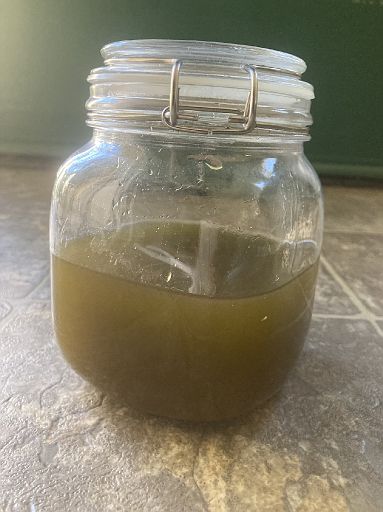 Oil SproutedFenugreekRosemaryGreenTeaCloveInCoffee A 