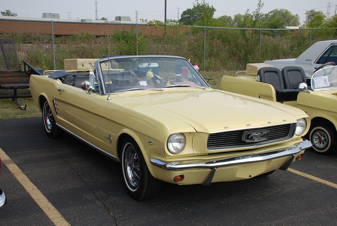 Photo: DSC 0178 | 2025 Mustangs of SE Mich. & All Makes Muscle Car ...