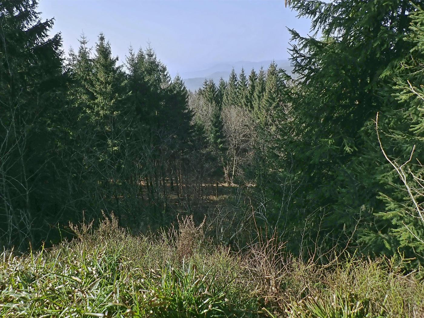 Yellow Place