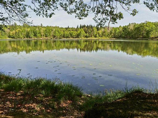 Weinberger See