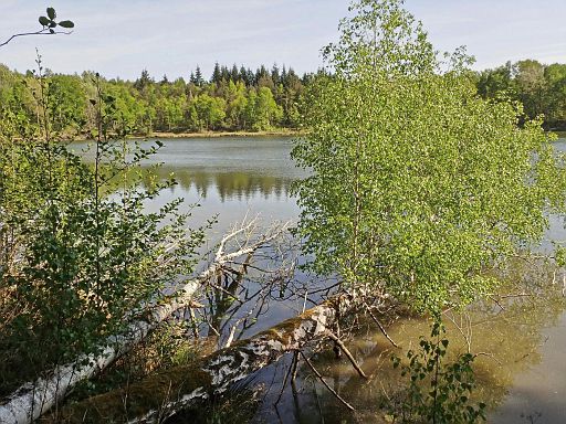 Weinberger See