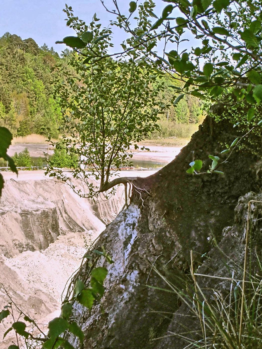 Gipsbruch